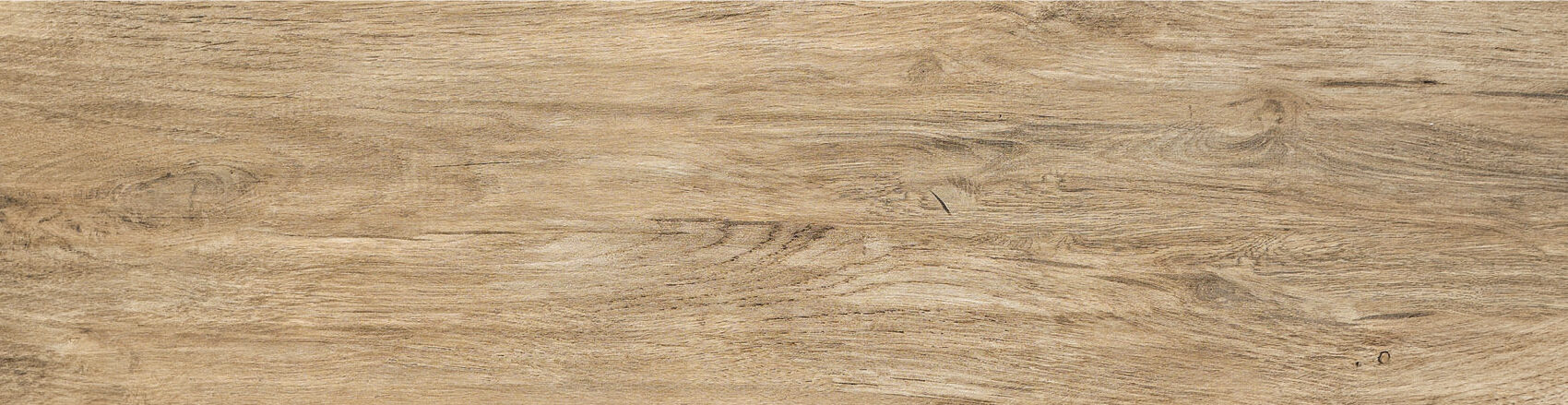 Logwood BEIGE